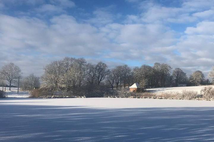 Ferienwohnung für 4 Personen, mit Haustier in Laage - 4