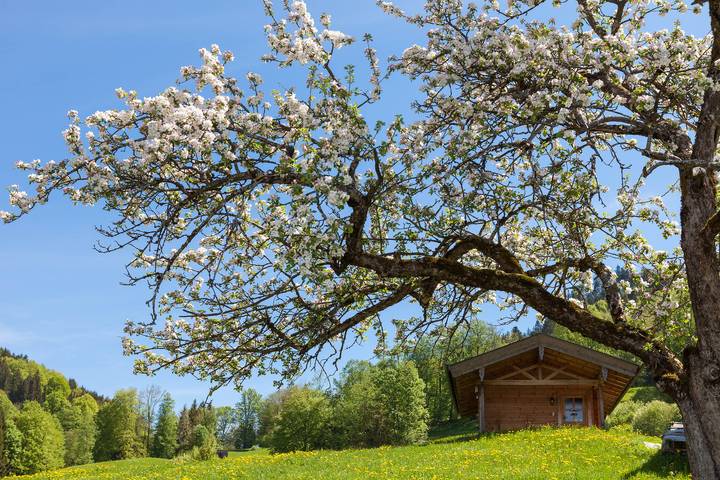 Ganze Ferienwohnung, Ferienwohnungen Stablehen - Ferienwohnung Nr. 2 Untersberg, für 2 Personen in Berchtesgaden, Berchtesgadener Alpen
