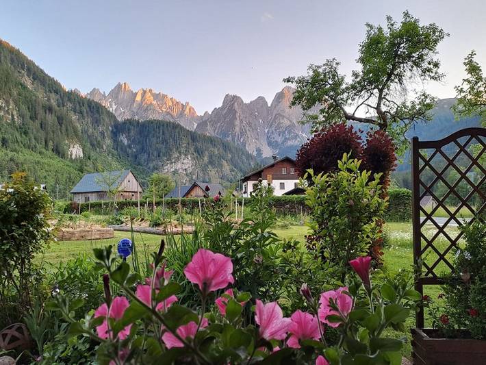 Ferienwohnung für 3 Personen, mit Terrasse in Traunviertel - 3