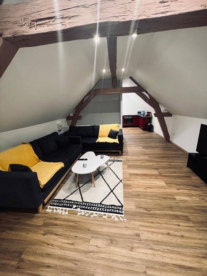 Appartement entier, Cozy loft between zoo and castles in Faverolles-sur-Cher, Région de Blois