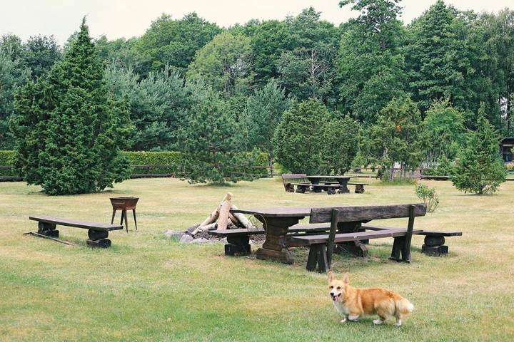 Camping für 2 Personen, mit Terrasse und Sauna sowie Ausblick und Garten in Saaremaa - 3