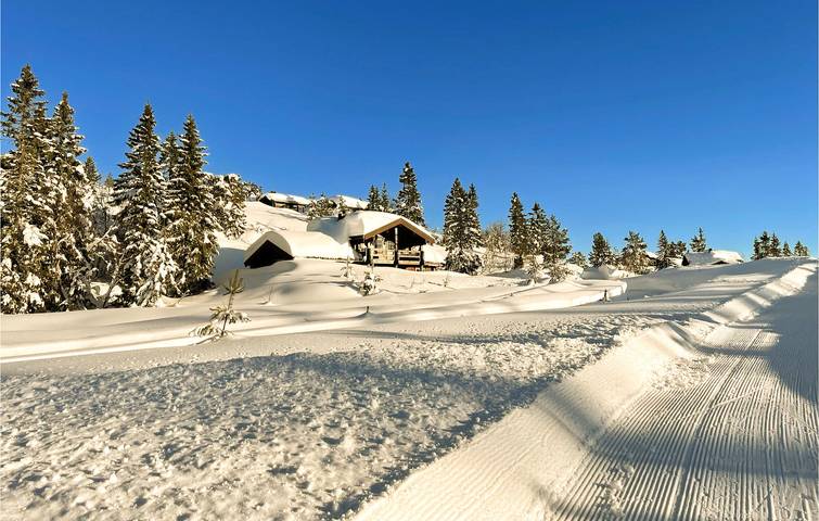 Ferienhaus für 8 Personen mit Garten in Nissedal