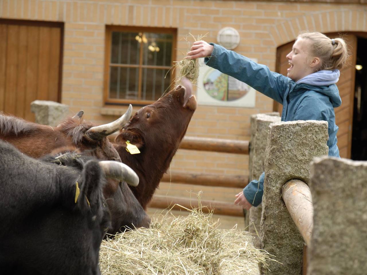 Ganze Ferienwohnung, Naturschutz-Tierpark Görlitz, Ferienwohnung Pandahöhle - Urlaub im Zoo: Pandahöhle in Görlitz, Oberlausitz-Niederschlesien