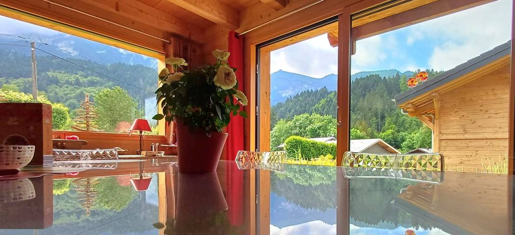 Gîte pour 13 personnes, avec jardin à Bernex - 3