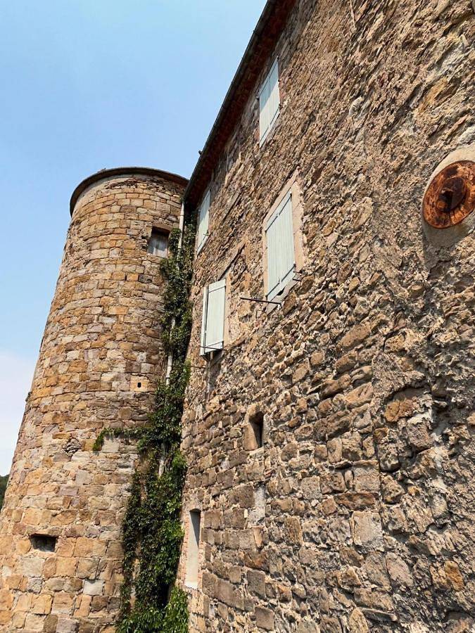 Location de vacances pour 6 personnes, avec balcon ainsi que vue et piscine à Saint-Jean-de-Valériscle - 2