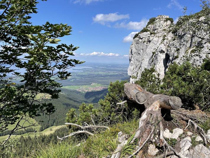 Ferienwohnung für 5 Personen, mit Balkon/Terrasse und Terrasse, kinderfreundlich in Übersee - 4