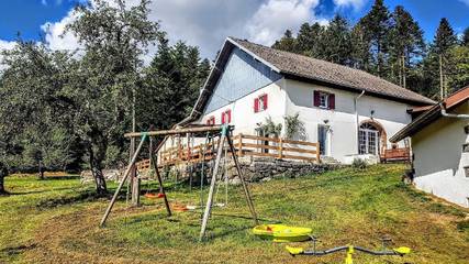 Gîte pour 12 personnes, avec jardin ainsi que sauna et terrasse, animaux acceptés à Cleurie