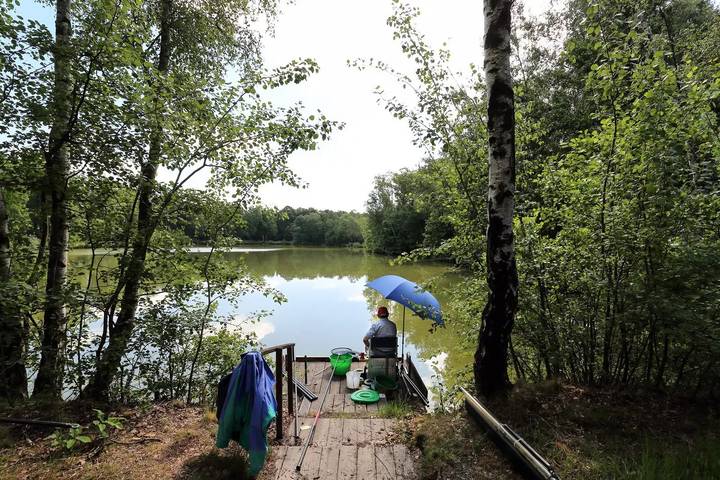 Mobil home pour 6 personnes, animaux acceptés à Turnhout - 3