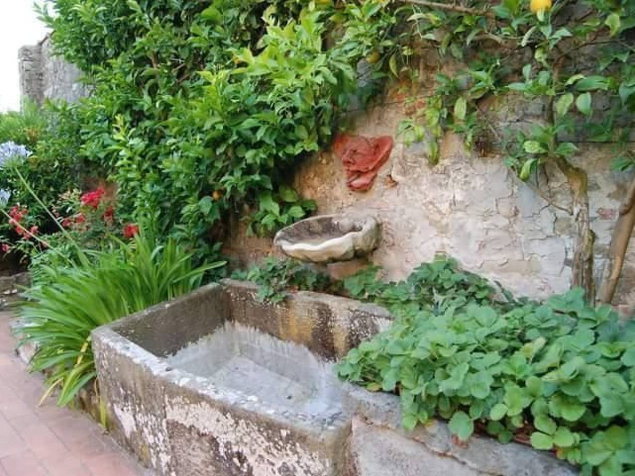 Ganze Wohnung, Wohnung der Mandarin in Uzzano, Pistoia Provinz