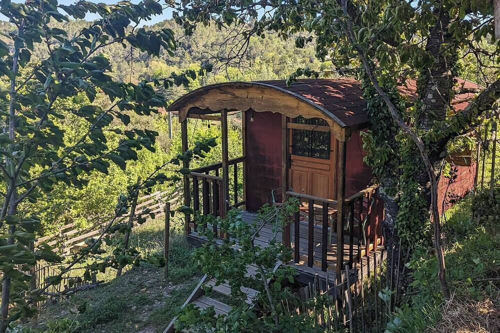 Charming gypsy caravan in green Provence, at La Mauvaise Herbe, Barjols in Barjols, Brignoles region