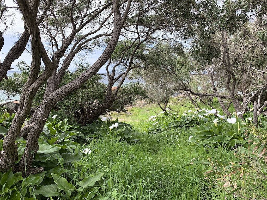 Rote Katzenhütte • Dunsborough in Dunsborough, Western Australia
