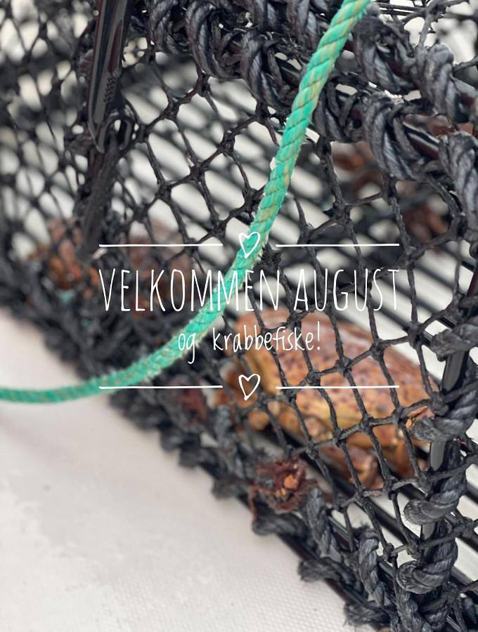 Villa für 8 Personen, mit Terrasse in Norwegen - 2