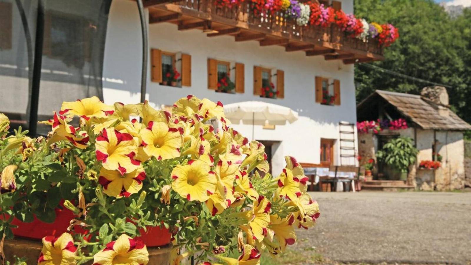 Zimmer 'Einzelzimmer 7' mit Bergblick, privater Terrasse und Wi-Fi in St. Peter (Bozen), Villnöß