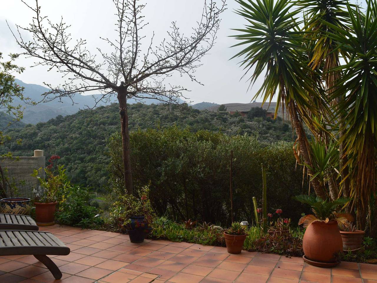 Casa de 3 piezas con jardín, barbacoa, se admiten mascotas en Banyuls-sur-Mer in La Côte Vermeille, Banyuls-sur-Mer