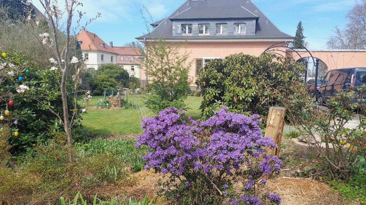 Ganze Ferienwohnung, Ferienwohnung für 4 Personen (35 m²) in Werdau in Werdau, Chemnitz und Umgebung