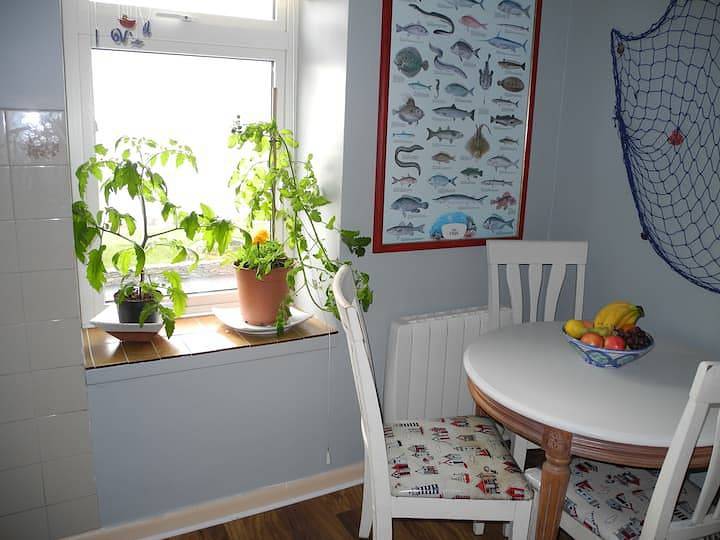Geheel vakantieappartement, Coastal Kerry Hideaway - Sleeps 6 & Free Parking in Loughcurrane, County Kerry