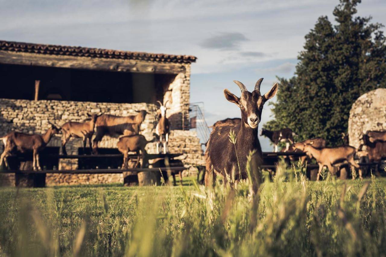 Suite in Sivergues, Parc naturel régional du Luberon