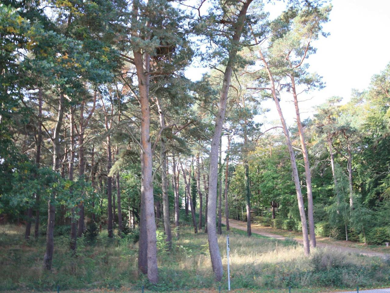 Ferienpark Streckelsberg *10 Min. zum Ostseestrand in Koserow, Bernsteinbäder