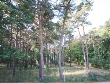 Bungalow für 5 Personen in Koserow, Usedom, Bild 4