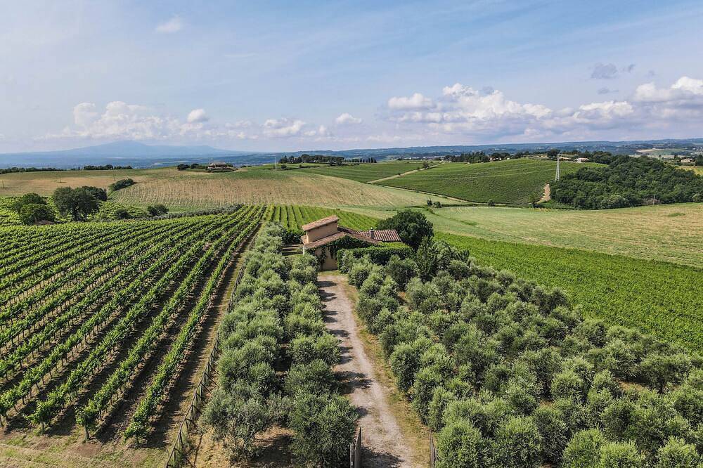 Villa surrounded by vineyards with private pool near Orvieto in Montecchio, Provinsen Terni