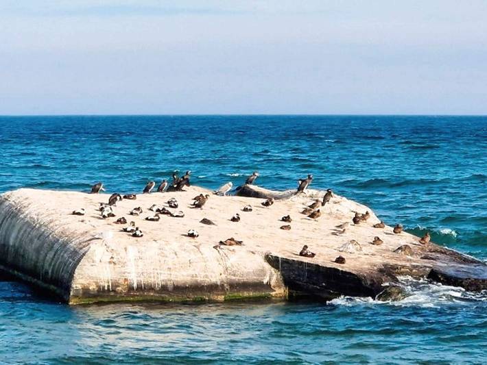 Ferienhaus für 2 Personen, mit Pool und Sauna sowie Balkon, kinderfreundlich in Nordjütland - 3