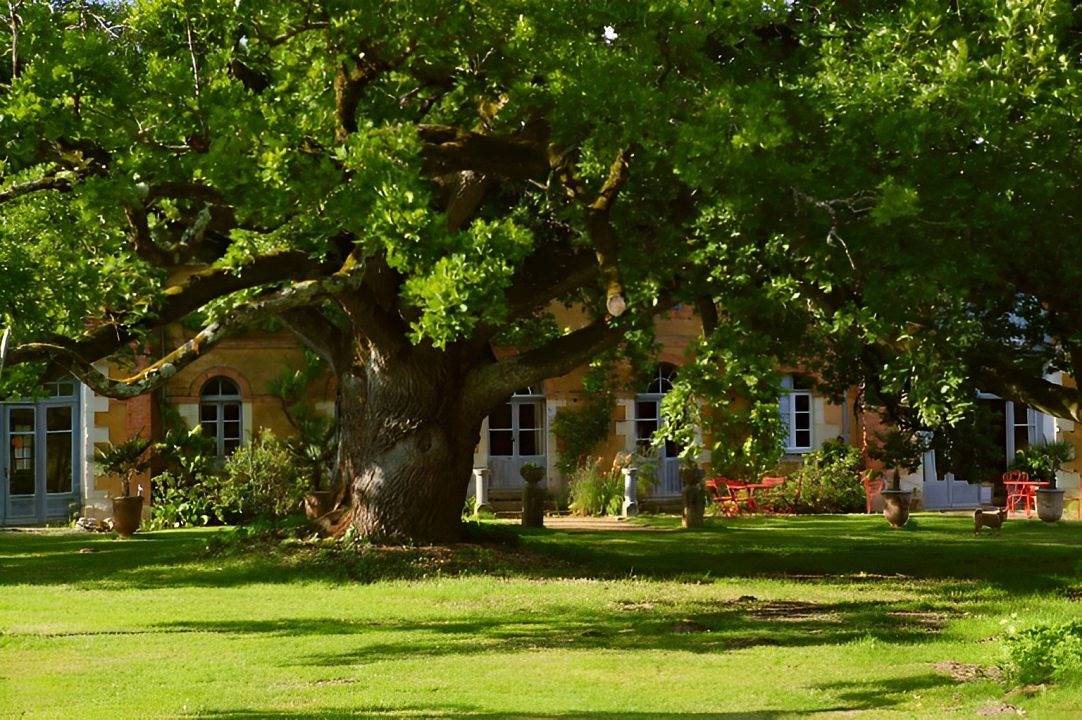 Gîtes au Château de Chambiers in Durtal, Angers region