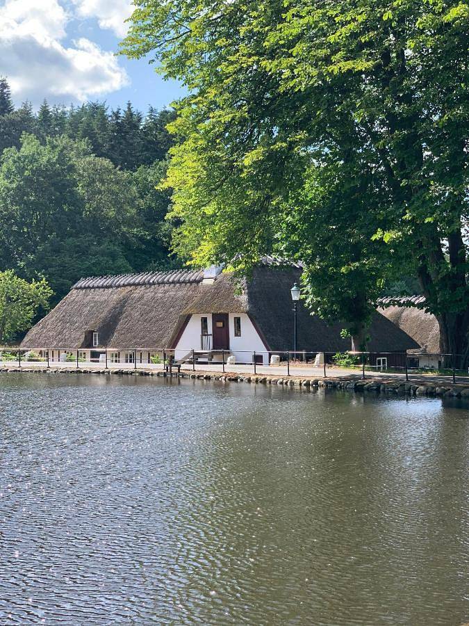 Chambre d’hôte pour 3 personnes, avec terrasse ainsi que jardin et vue au Danemark - 4