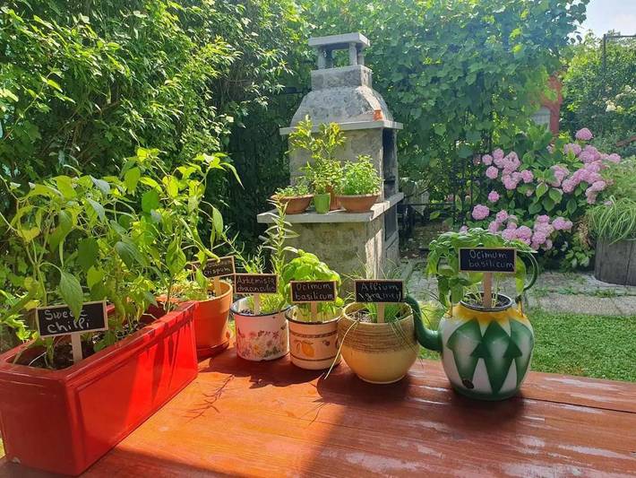 Maison de vacances pour 6 personnes, avec jardin et vue