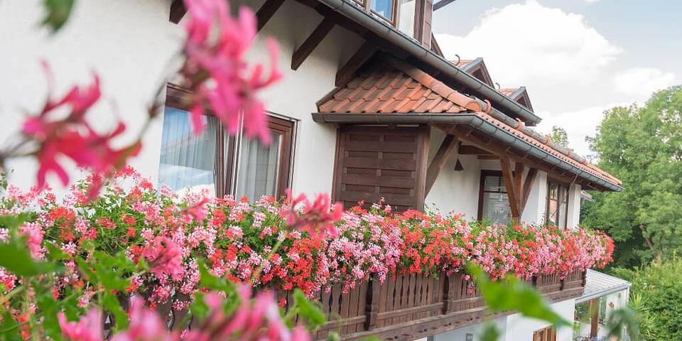 Pension Zum Ebenstein am Donausteig - Doppelzimmer (ca. 18 qm) in Untergriesbach, Ostbayern
