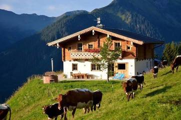 Bauernhof für 8 Personen in Hinterglemm, Kitzbüheler Alpen, Bild 4