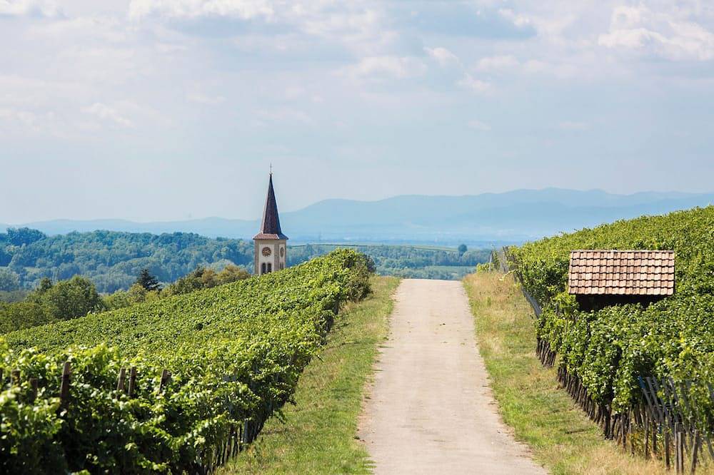 Cozy vacation apartment on the winery, foto 8