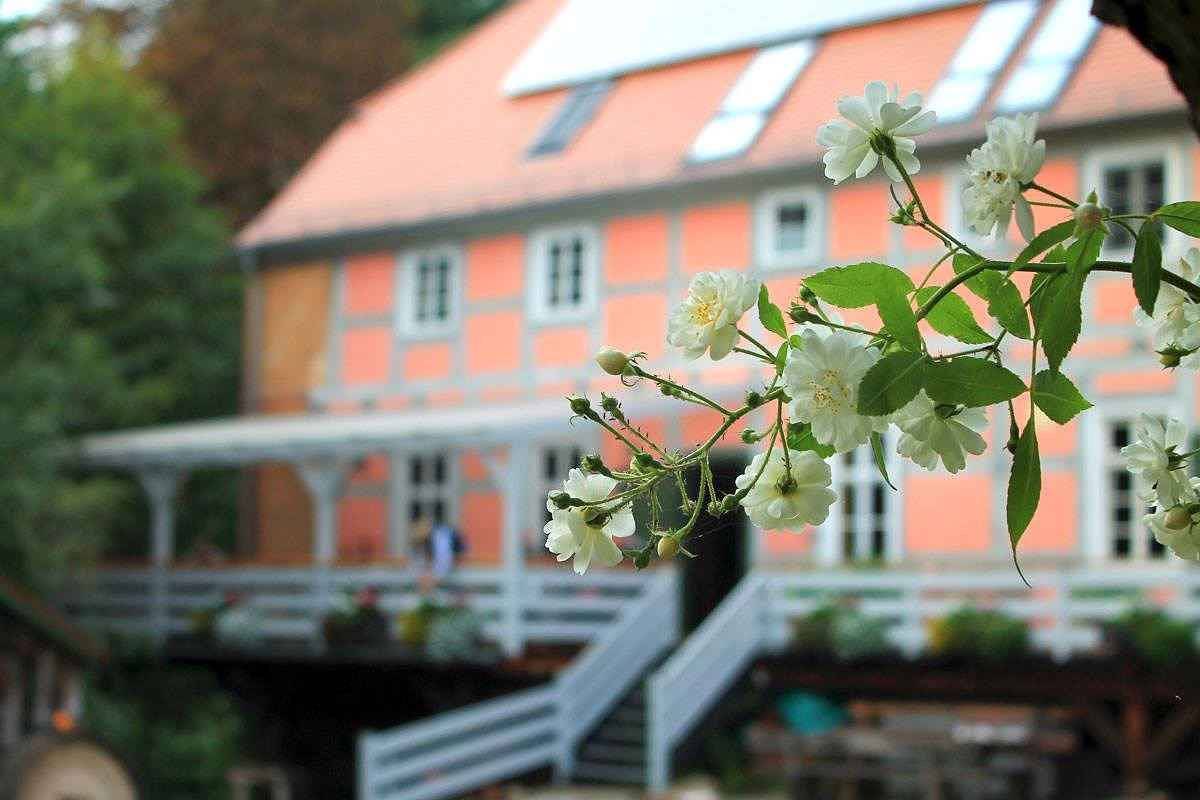 Maison de vacances dans un moulin à eau historique  in Nordwestuckermark, Uckermark