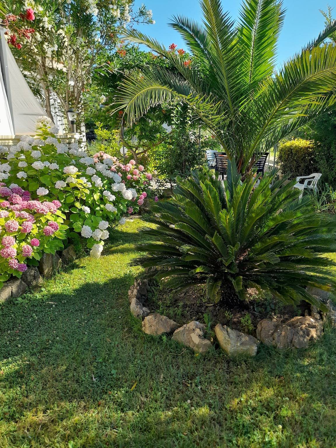 Ganze Wohnung, 2-Zimmer-Ferienwohnung mit Balkon Palit, Rab A-22221-a in Palit, Rab