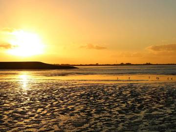 Ferienhaus für 6 Personen in Dangast, Metropolregion Bremen-Oldenburg, Bild 4