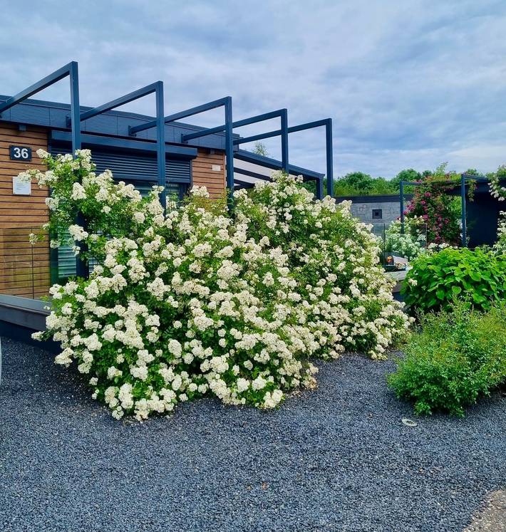 Ferienhaus für 4 Personen, mit Terrasse und Garten in Goch