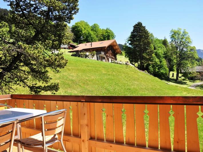 Vakantiewoning voor 5 personen, met Balkon in Hasliberg