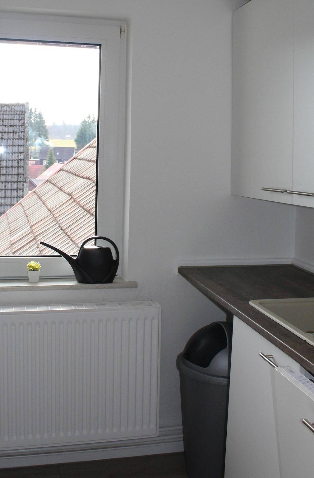 Ganze Ferienwohnung, Fewo Harz Benneckenstein in Benneckenstein, Harzvorland
