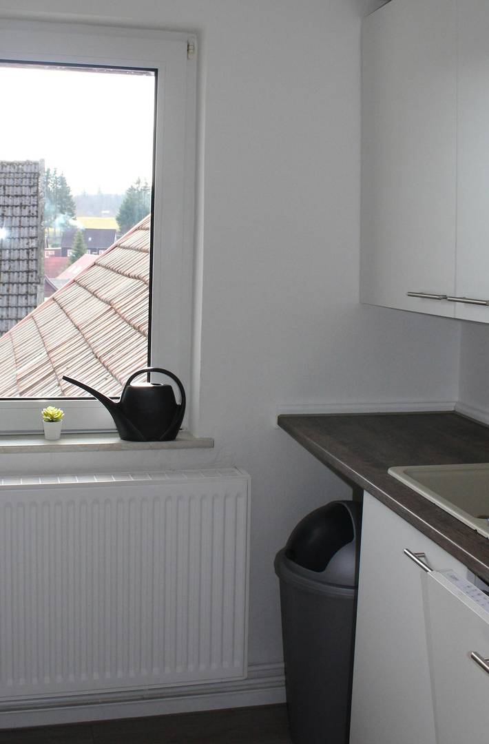 Ferienwohnung für 4 Personen in Benneckenstein - 3