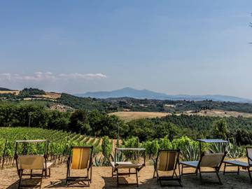 Villa para 10 Pessoas em Trequanda, Siena (província), Foto 4