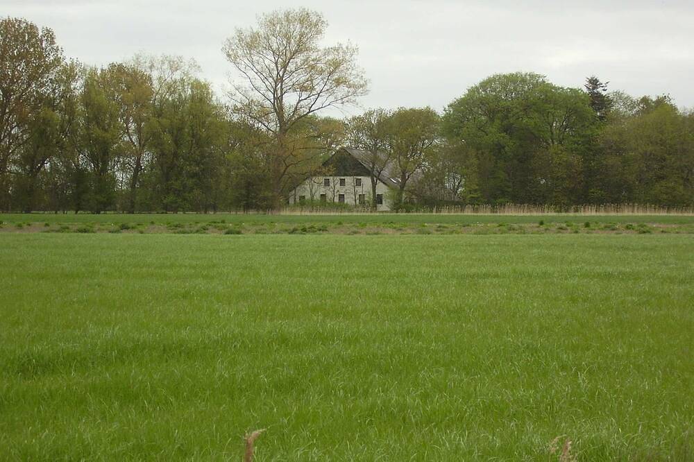 Hauptbild