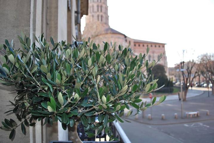 Hôtel pour 3 personnes, avec balcon dans Basilique Saint-Sernin (Toulouse) - 3