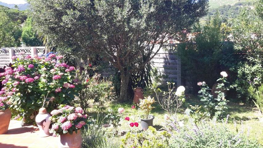 Chambre d’hôte pour 2 personnes, avec terrasse et vue ainsi que jardin et piscine dans les Pyrénées-Orientales - 2