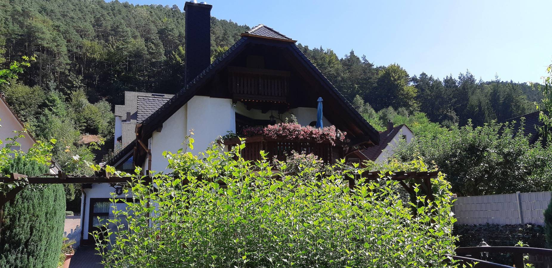 Ganze Ferienwohnung, Haus Winterberg in Erfweiler, Pfalz