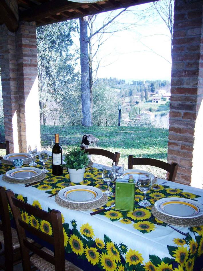 Location de vacances pour 6 personnes, avec jardin, animaux acceptés à Montaione - 3