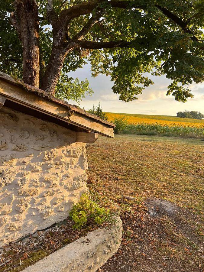 Location de vacances pour 6 personnes, avec jardin et vue, adapté aux familles à Saint-Clar - 3