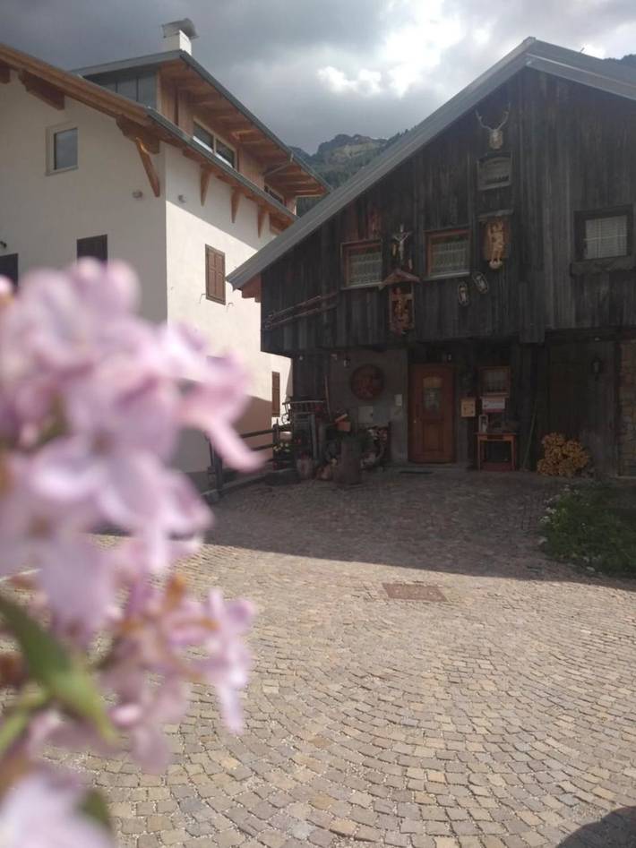 Chambre d’hôte pour 4 personnes, avec jardin, animaux acceptés à Canazei - 3