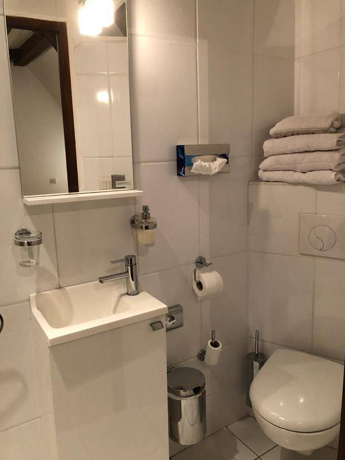 Chambre d’hôte pour 2 personnes, avec terrasse et jardin, animaux acceptés à Saint-Jouan-des-Guérets - 4