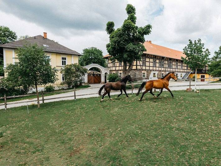 Ganze Ferienwohnung, Rittergut Reudnitz - Gästezimmer 2 in Mohlsdorf-Teichwolframsdorf, Region Greiz