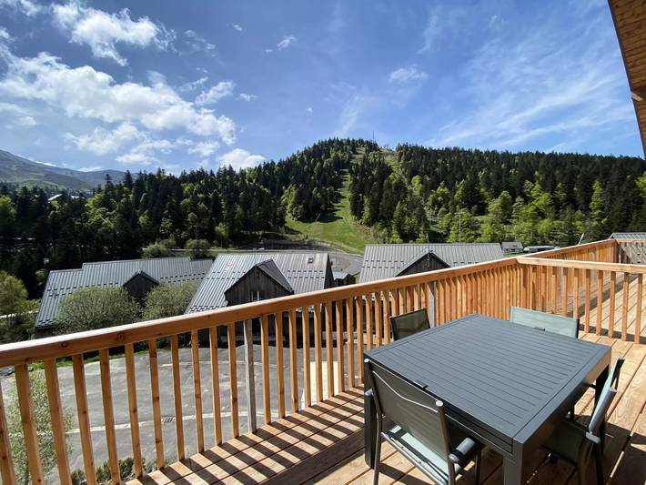 Gîte pour 10 personnes, avec terrasse à Laveissière - 2