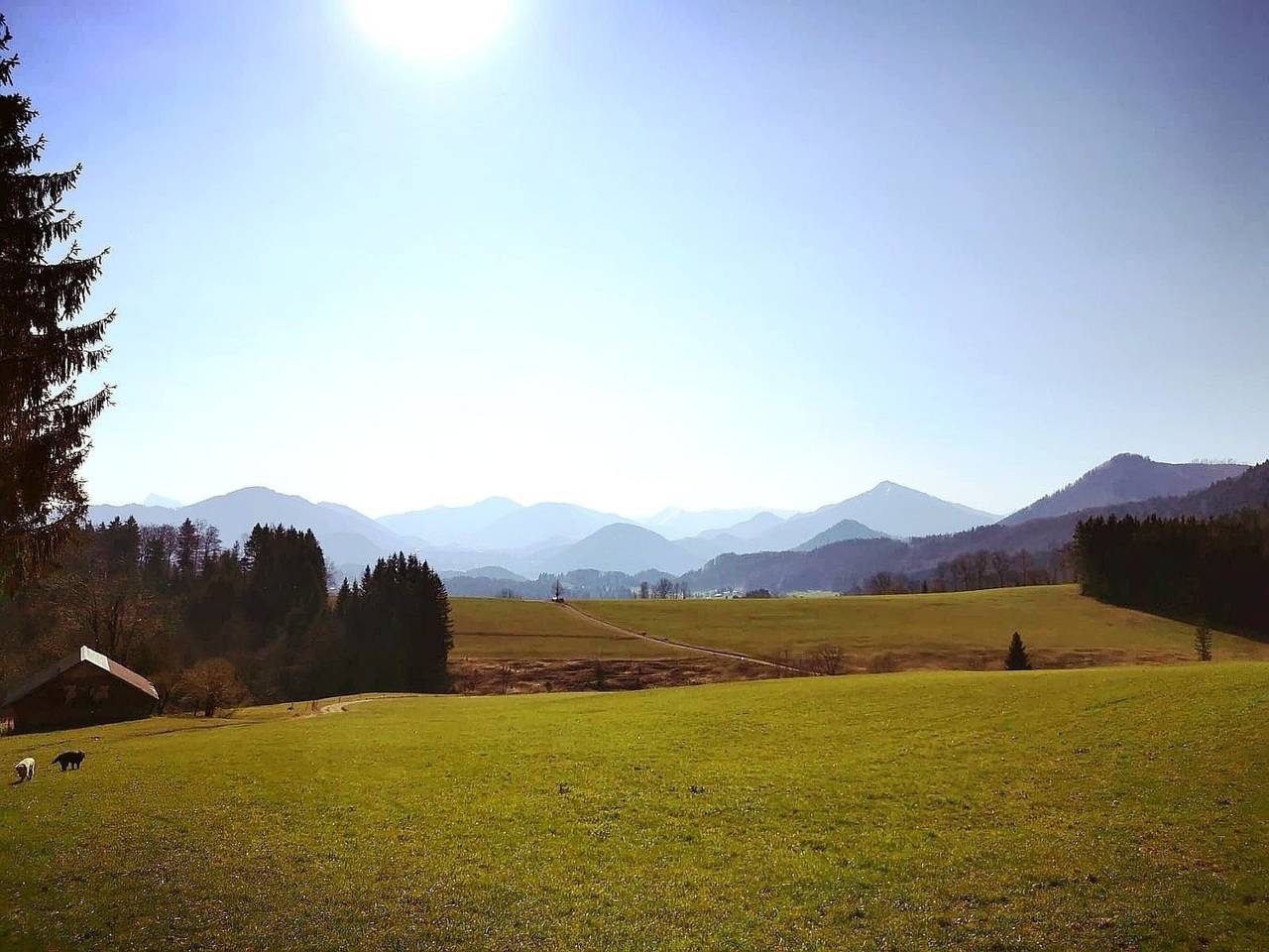 Stodingerhuette in Koppl, Bezirk Salzburg-Umgebung